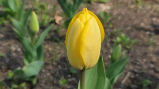 이흥옥님의 자유주제 · 자유게시판 작성글 사진