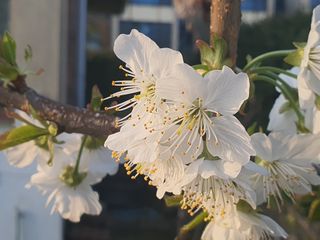 하나라도 소중하게님의 자유주제 · 자유게시판 작성글 사진