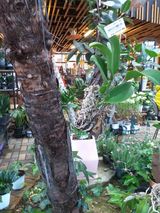 팜모닝 자유주제·자유게시판 게시글 이미지