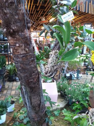 박웅님의 자유주제·자유게시판 작성글 사진