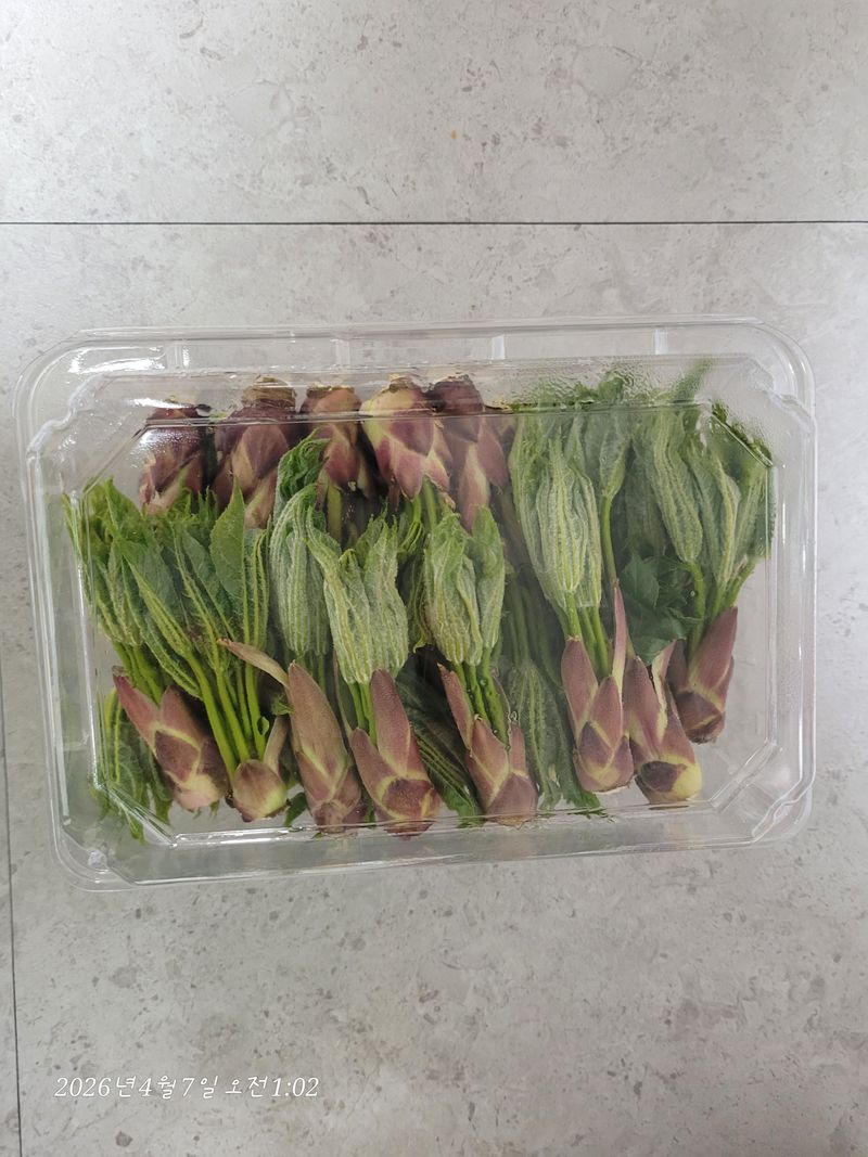 달마루님의 장터 판매 상품 [엄나무순 1kg] 첨부 사진