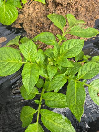 우리나무님의 자유주제 · 자유게시판 작성글 사진