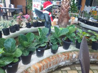 박웅님의 자유주제 · 자유게시판 작성글 사진