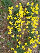 별빛농장지기님의 자유주제·자유게시판 작성글 사진