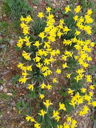 별빛농장지기님의 자유주제 · 자유게시판 작성글 사진