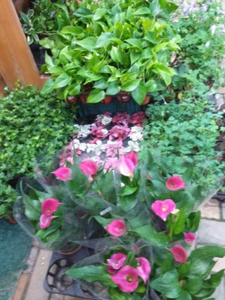 박웅님의 자유주제 · 자유게시판 작성글 사진