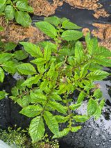 우리나무님의 자유주제·자유게시판 작성글 사진