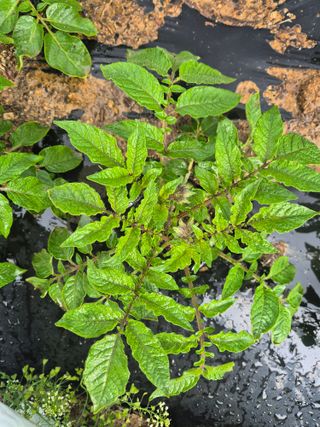 우리나무님의 자유주제 · 자유게시판 작성글 사진