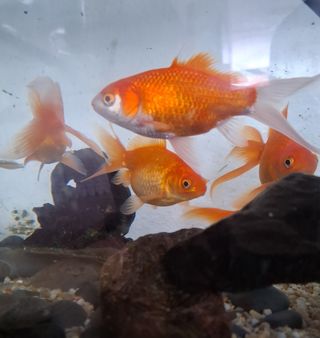 MSG0074님의 자유주제 · 자유게시판 작성글 사진