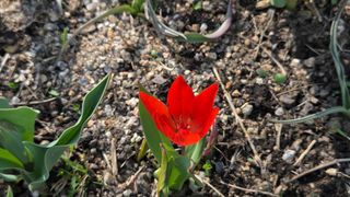 이흥옥님의 자유주제 · 자유게시판 작성글 사진