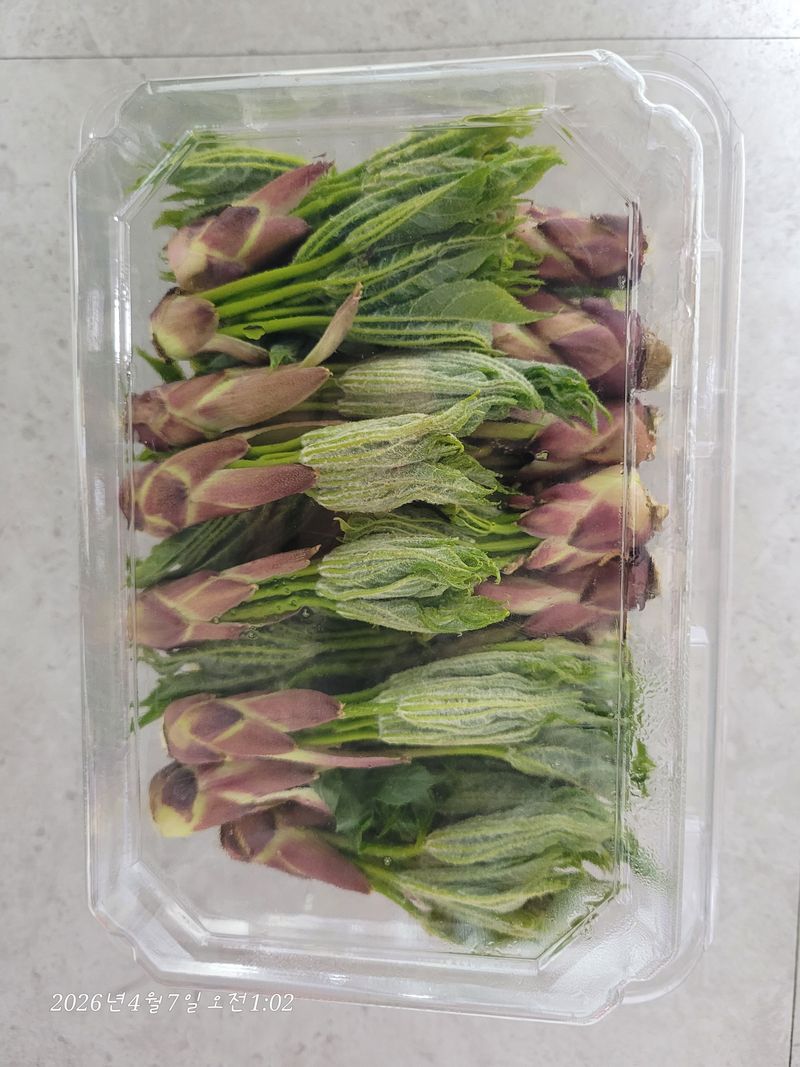 장터 상품 [엄나무순 1kg] 썸네일