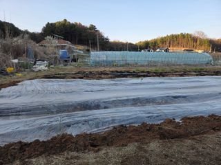 김윤회님의 작성글 사진