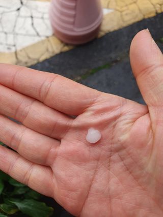 서선옥님의 자유주제·자유게시판 작성글 사진