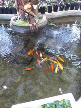 박웅님의 자유주제·자유게시판 작성글 사진