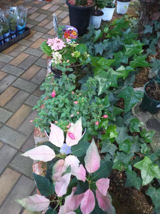 박웅님의 자유주제 · 자유게시판 작성글 사진