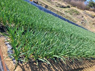 들깨17250님의 자유주제 · 자유게시판 작성글 사진