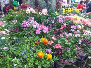 박웅님의 자유주제 · 자유게시판 작성글 사진