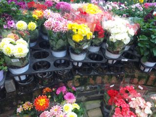 박웅님의 자유주제 · 자유게시판 작성글 사진