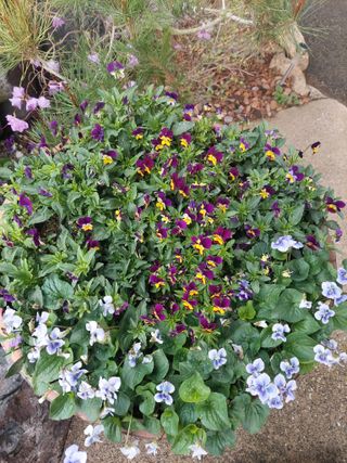 재연농장님의 자유주제 · 자유게시판 작성글 사진