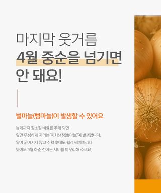 누보농장님의 자유주제 · 자유게시판 작성글 사진