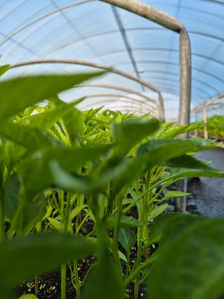 김영진(전남영광)님의 자유주제 · 자유게시판 작성글 사진