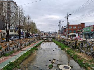 MSG0074님의 자유주제 · 자유게시판 작성글 사진