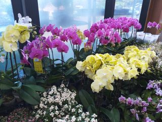 박웅님의 자유주제 · 자유게시판 작성글 사진