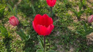 이흥옥님의 자유주제 · 자유게시판 작성글 사진