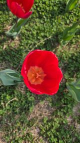 이흥옥님의 자유주제·자유게시판 작성글 사진