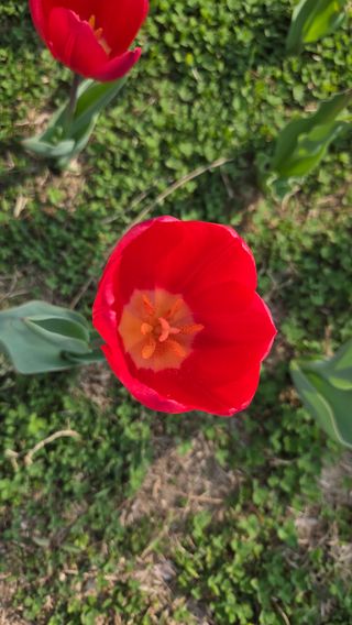 이흥옥님의 자유주제 · 자유게시판 작성글 사진