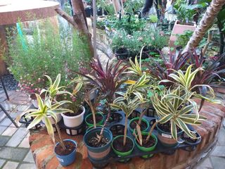 박웅님의 자유주제 · 자유게시판 작성글 사진