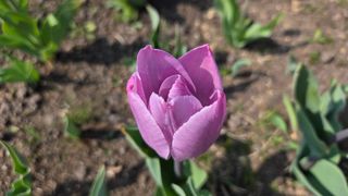 이흥옥님의 자유주제 · 자유게시판 작성글 사진