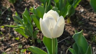 이흥옥님의 자유주제 · 자유게시판 작성글 사진