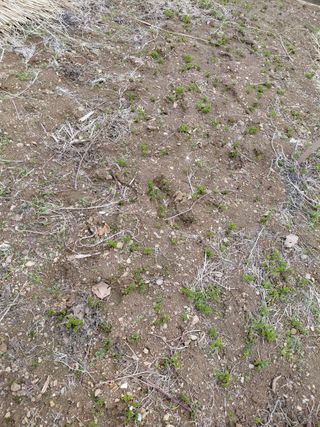 별빛농장지기님의 자유주제 · 자유게시판 작성글 사진