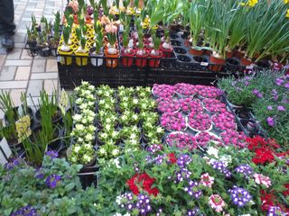 박웅님의 자유주제 · 자유게시판 작성글 사진