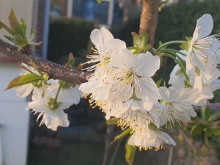 하나라도 소중하게님의 자유주제 · 자유게시판 작성글 사진