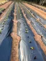 팜모닝 자유주제·자유게시판 게시글 이미지