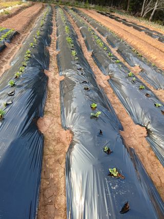 이남희님의 자유주제 · 자유게시판 작성글 사진
