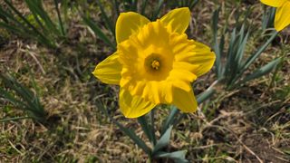 이흥옥님의 자유주제 · 자유게시판 작성글 사진