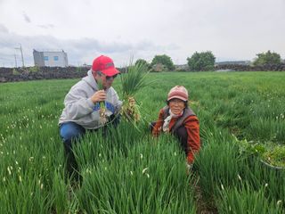 한경훈님의 자유주제 · 자유게시판 작성글 사진