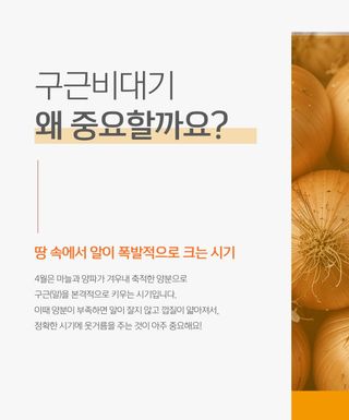 누보농장님의 자유주제 · 자유게시판 작성글 사진