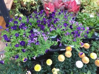 박웅님의 자유주제 · 자유게시판 작성글 사진