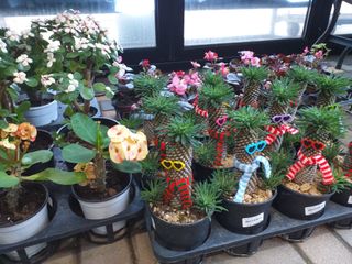 박웅님의 자유주제 · 자유게시판 작성글 사진