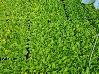 박호성님의 자유주제 · 자유게시판 작성글 사진