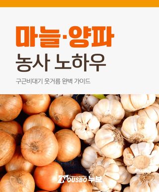 누보농장님의 자유주제·자유게시판 작성글 사진