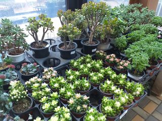 박웅님의 자유주제 · 자유게시판 작성글 사진