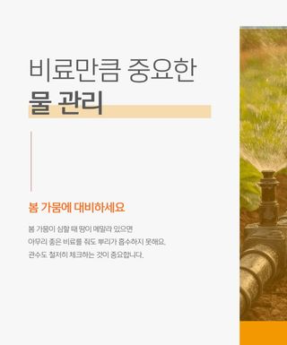 누보농장님의 자유주제 · 자유게시판 작성글 사진