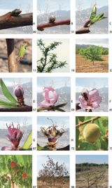 달맛햇복숭아농원님의 자유주제·자유게시판 작성글 사진