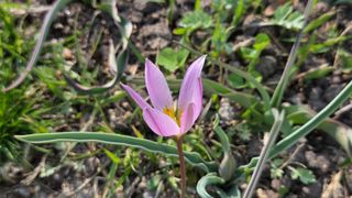 이흥옥님의 자유주제 · 자유게시판 작성글 사진