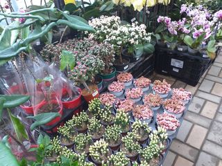 박웅님의 자유주제 · 자유게시판 작성글 사진